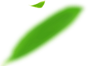 青州市亦點農(nóng)業(yè)科技有限公司介紹